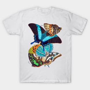 Butterflies Watercolor #10 T-Shirt